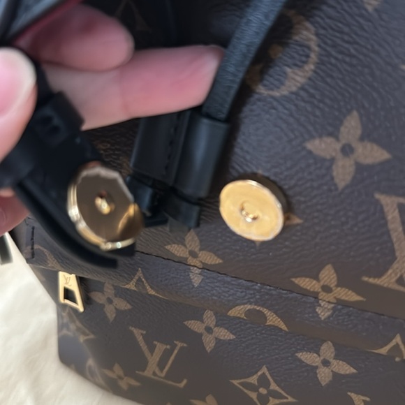 Authentic Louis Vuitton Montsouris PM (newer version) - Picture 4 of 9